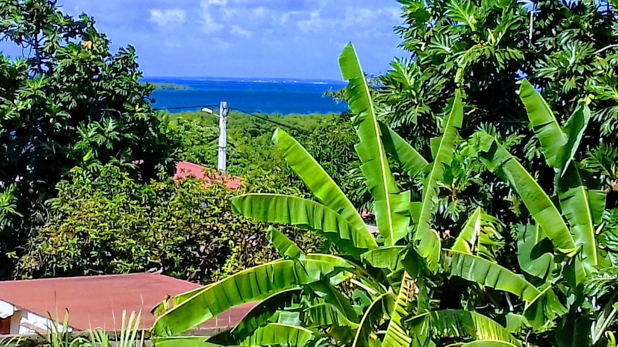 Villa Ilet Blanc Sainte-Rose Esterno foto